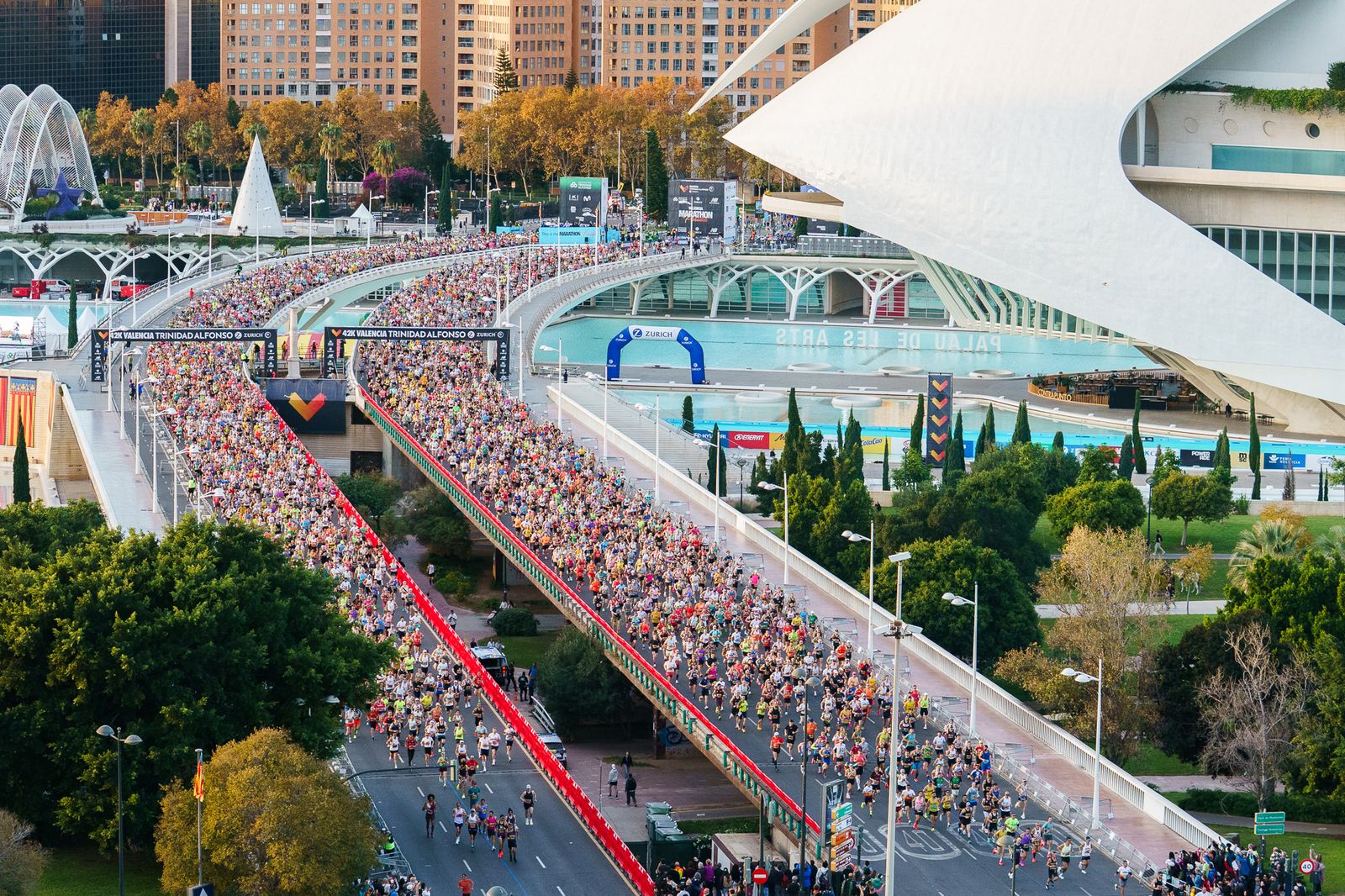 VALENCIA AND CIM MARATHON IN DECEMBER